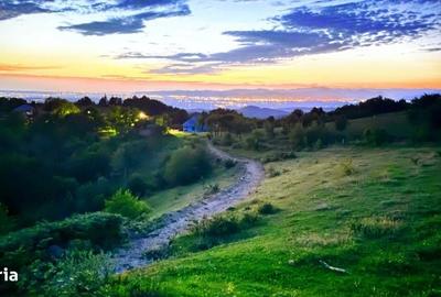 Spațiu comercial, în Copalnic - 14