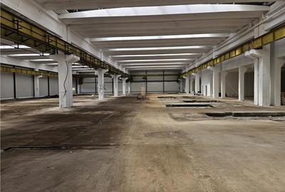 Spațiu industrial, de 6,500 mp, în Mârșa - 6