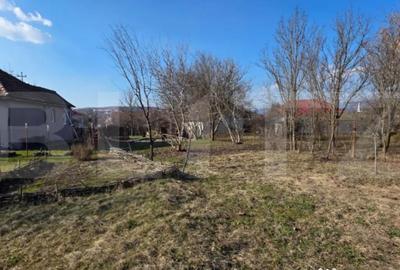 Casă cu 3 camere cu Teren 3000 Mp în Central