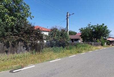 Casa Batraneasca Urechesti - 3