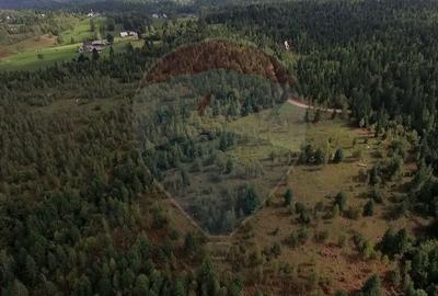 Teren agricol extravilan de 68607 mp, în Călățele - 16