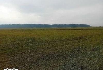 Teren de 635 mp, în Hârsești - 10