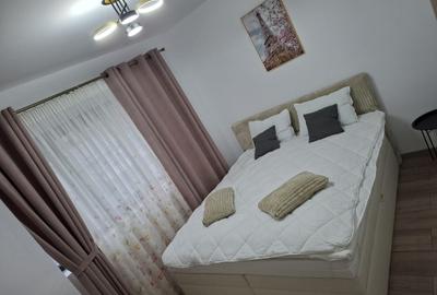 Apartament cu 2 camere nedecomandat în Teilor - 17