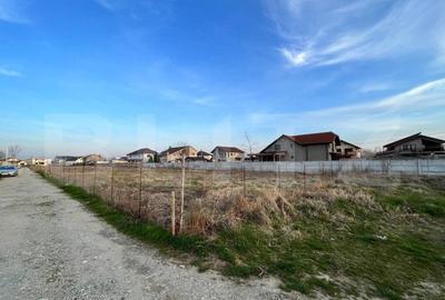 Teren Construcții intravilan de 452 mp, în Braniște (Podari) - 5