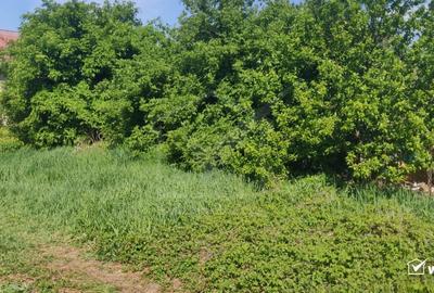 Casă individuală cu 2 camere cu Teren 700 Mp în Apahida - 8