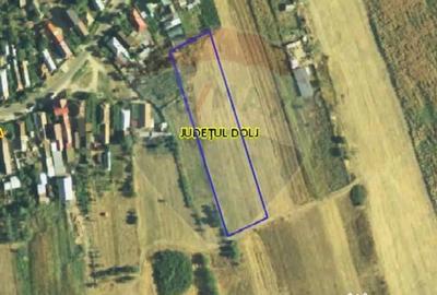 Teren de 4800 mp, în Cernele - 1