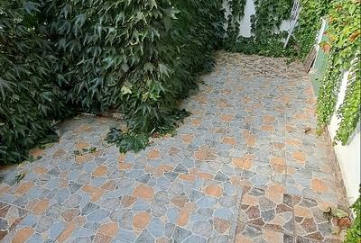 Polona (adiacent), casa de vanzare, S+P+1+M, 255 MP, 340 mp de teren - 4