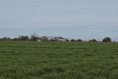 Teren Construcții intravilan de 400 mp, în Agigea
