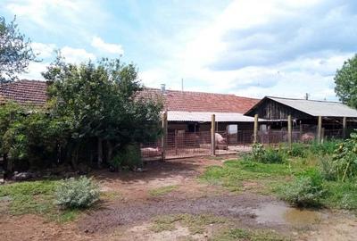 GRAJD + un TEREN INTRAVILAN de vanzare in Nadlac - 1