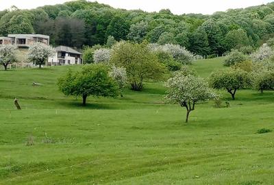 Spațiu comercial, în Troian - 3