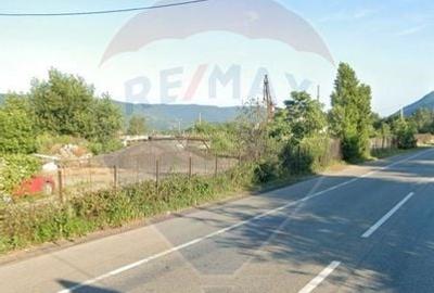 Teren comercial / industrial, de vanzare in zona Portile de Fier 1 - 6