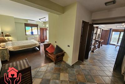 VATRA LUMINOASA-Duplex unicat, 170 mp, mobilier si amenajare FENG SHUI, liber! - 17