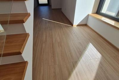 Minimalist în Timișoara - 22