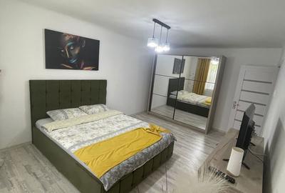 Garsonieră în Rovine - 2