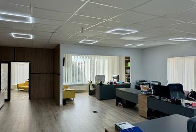 Spațiu comercial, de 483 mp, în Dumbrăvița - 17