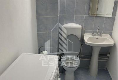 Apartament ca casa, 1 Camera, pet friendly, Mehala - 1