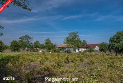 Spațiu comercial, în Potârnichea - 5