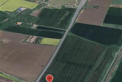 Teren Construcții intravilan de 10000 mp, în Vest - 2