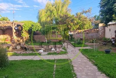 Casă individuală cu 4 camere cu Piscina în Bariera Vâlcii - 9