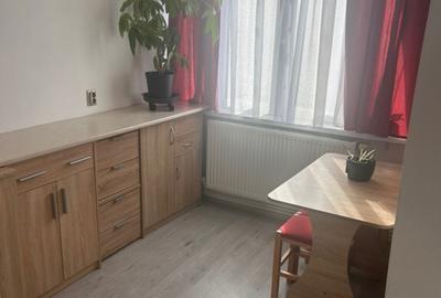 Garsoniera, Deva, Zarand - 3