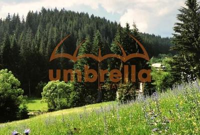 Teren Construcții intravilan de 34201 mp, în Vărșag - 2