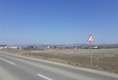 +900 mp in intravilan, cu plan urbanistic zonal aprobat si deschidere stradala - 3