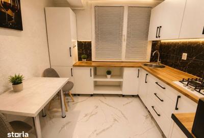 Apartament cu 2 camere decomandat în Podu Roș - 8