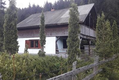 Casă cu 3 camere în Piatra - 9