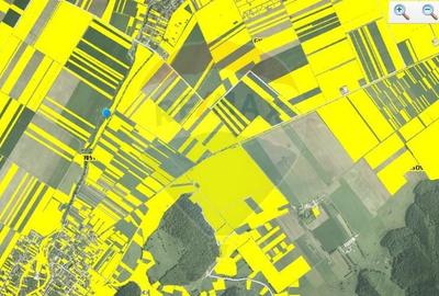 Teren agricol extravilan de 11600 mp, în Cristian - 5
