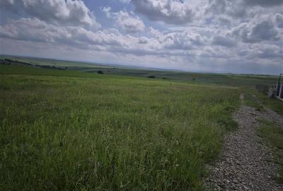 Teren agricol extravilan de 800 mp, în Moara Nica - 5