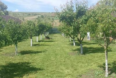 Casă cu 3 camere în Cepești - 2