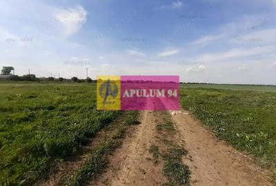 Teren de 3820 mp, în 1 Decembrie - 3