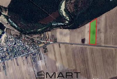 Teren în Scrioaștea