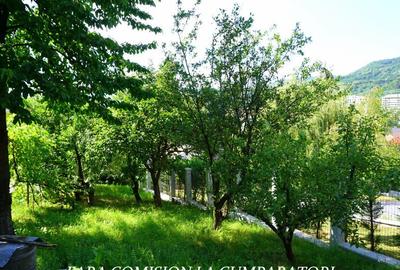 ANL- MORILOR, TEREN 635 MP - 3