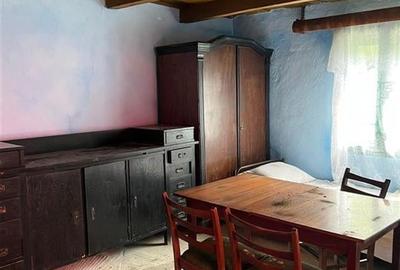 RECO Casa batraneasca cu teren generos la Lupoaia -Holod - 5