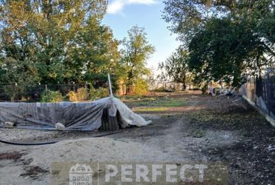 Casă cu 4 camere cu Teren 1500 Mp în Gherghița