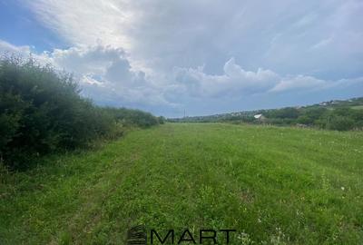 Teren 8000mp Daia noua - 2