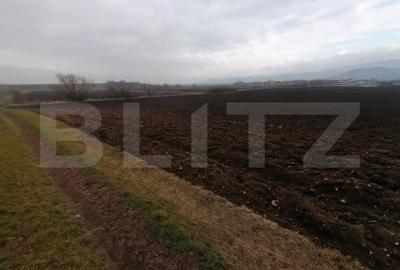 Teren de 21300 mp, în Central - 3