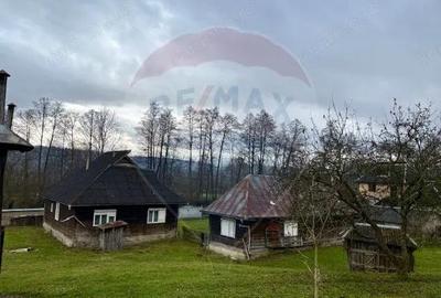 Casă cu 5 camere cu Teren 6328 Mp în Giulești - 2