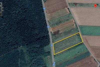 Teren 1016 Mp Acces Autostrada Soarelui - Branesti Ilfov- - 5