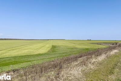 Teren de 444 mp, în Central - 12