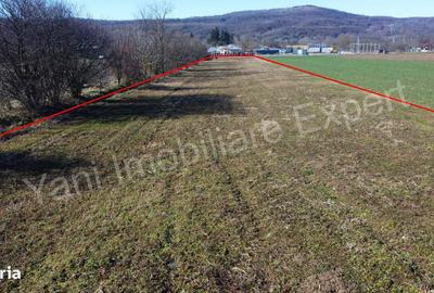 Teren de 3657 mp, în Băiculești - 2