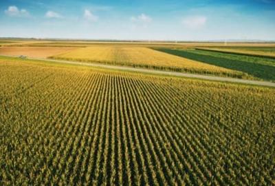 Teren agricol intravilan de 1600 mp, în Ampoița - 1