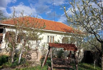 Casă cu 3 camere cu Teren 500 Mp în Dobrița - 7