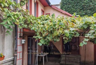 Tepes Vosda vand casa 3 cam65000 eur - 1