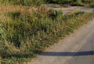 Teren intravilan 2171 mp Cateasca Arges, deschidere 49 ml Teren intravilan 2171 mp Cateasca Arges, deschidere 49 ml - 2