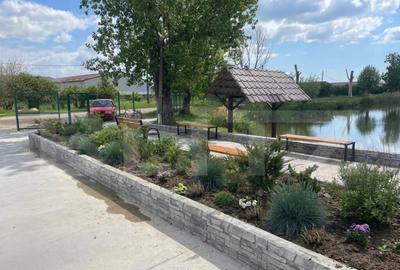 Proprietate unica 12.000 mp teren intravilan + imobile - 2