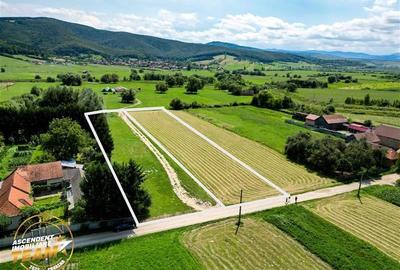 Teren intravilan,2.900mp,recomandat: investitional/ rezidential/constructii,Lunc - 6