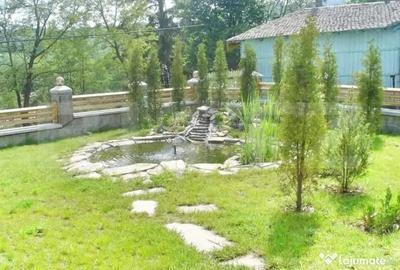 Spațiu comercial, de 750 mp, în Frumoasa - 8
