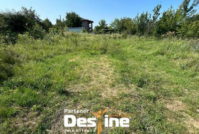 Teren Intravilan - Hlincea (Ciurea) 1000Mp - 2